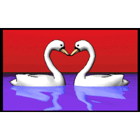 swan.gif